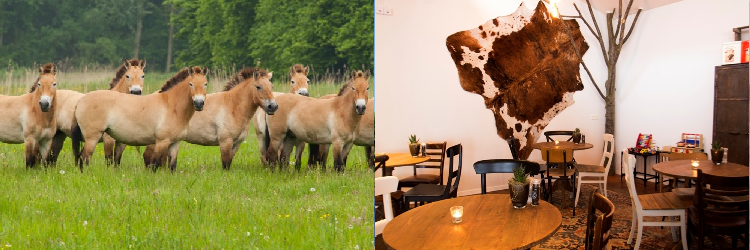 Natuurpark Lelystad